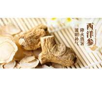 西洋參 滋補養(yǎng)生的天然瑰寶